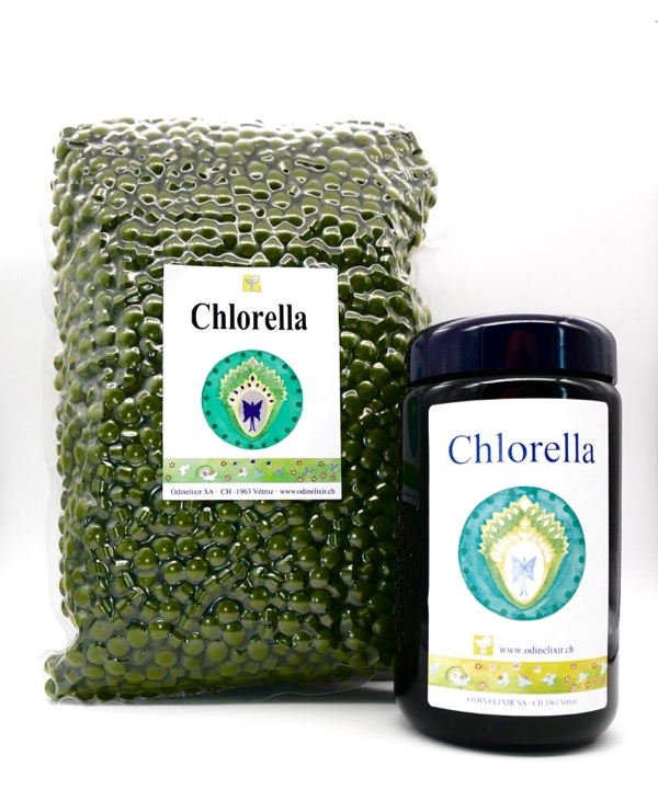 Chlorella